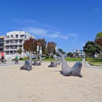 Fanuel Park dolphins