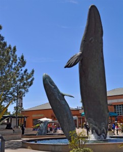 Birch Aquarium