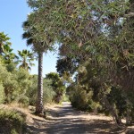 La Jolla Bike Path