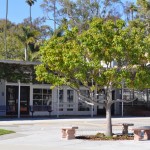 Bird Rock Elementary courtyard