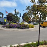 Bird Rock roundabout