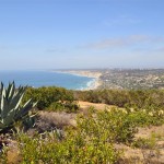 View from La Jolla Natural Park