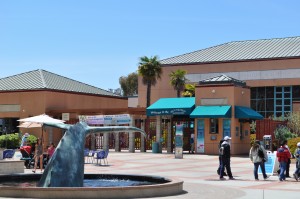 Birch Aquarium