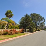 Homes along Greentree Lane