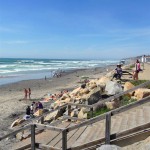 Torrey Pines State Beach