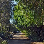 La Jolla Bike Path