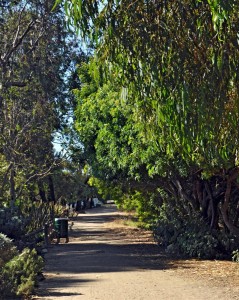 La Jolla Bike Path