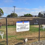 Capehart Dog Park