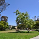 Villa La Jolla Park