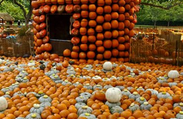 Another kind of gourd house by Allen Sheffield is licensed under CC BY 2.0