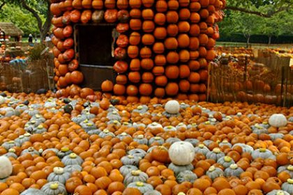 Another kind of gourd house by Allen Sheffield is licensed under CC BY 2.0