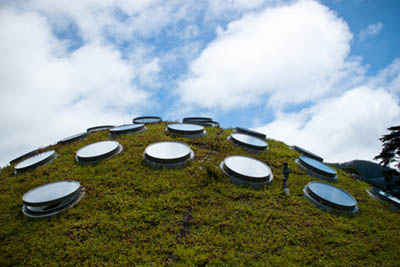 Living Roof by Anna Fox is licensed under CC BY 2.0. (Photo of the California Academy of Sciences)