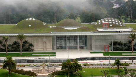 Touched By An Angel by Peter M. is licensed under CC BY-SA 2.0. (Photo of the California Academy of Sciences)