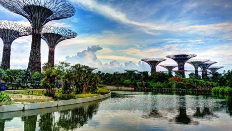 "Supertrees" by Khairul Nizam is licensed under CC BY 2.0